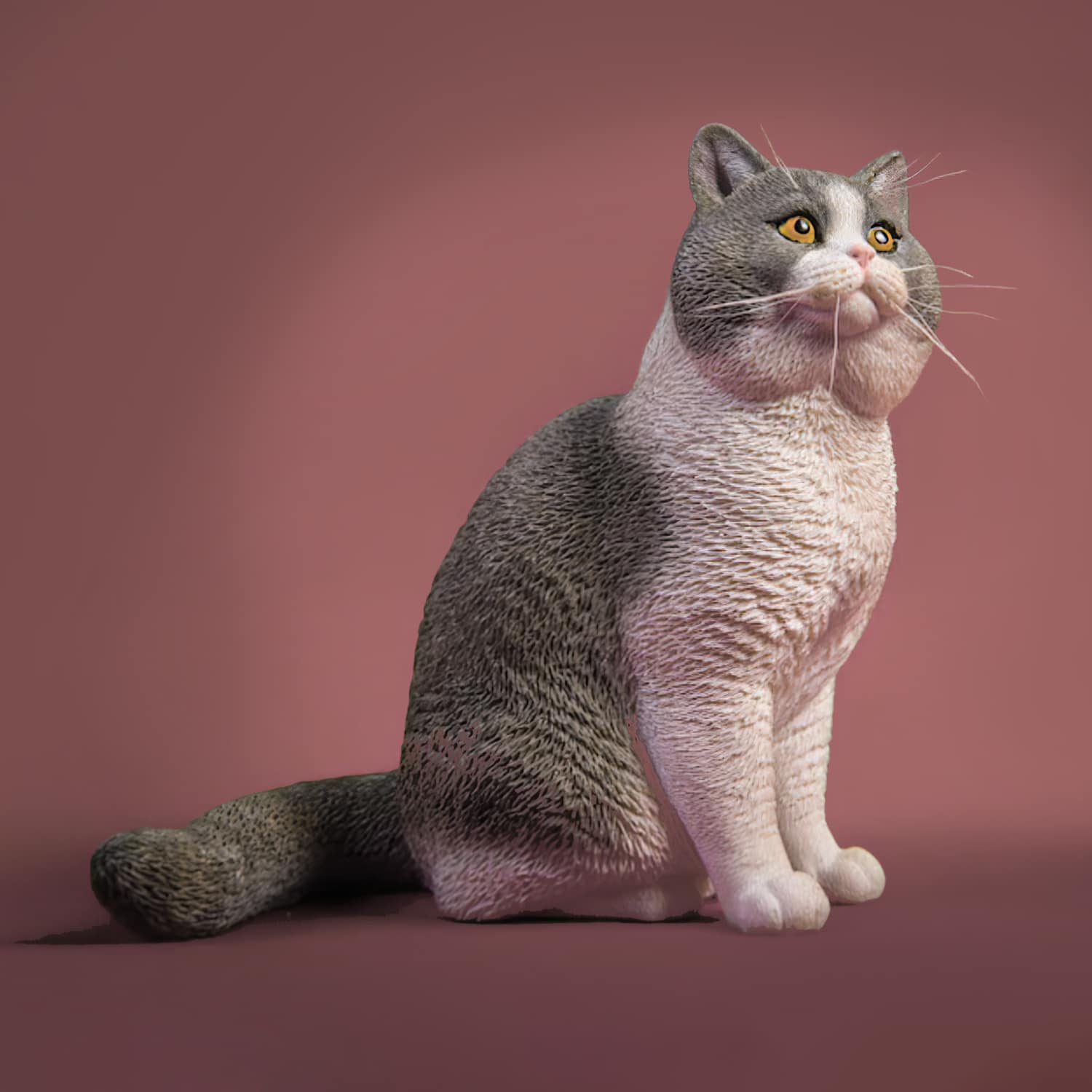 1/6 Lifelike British Shorthair Cat Resin Statue - FacFox Shop
