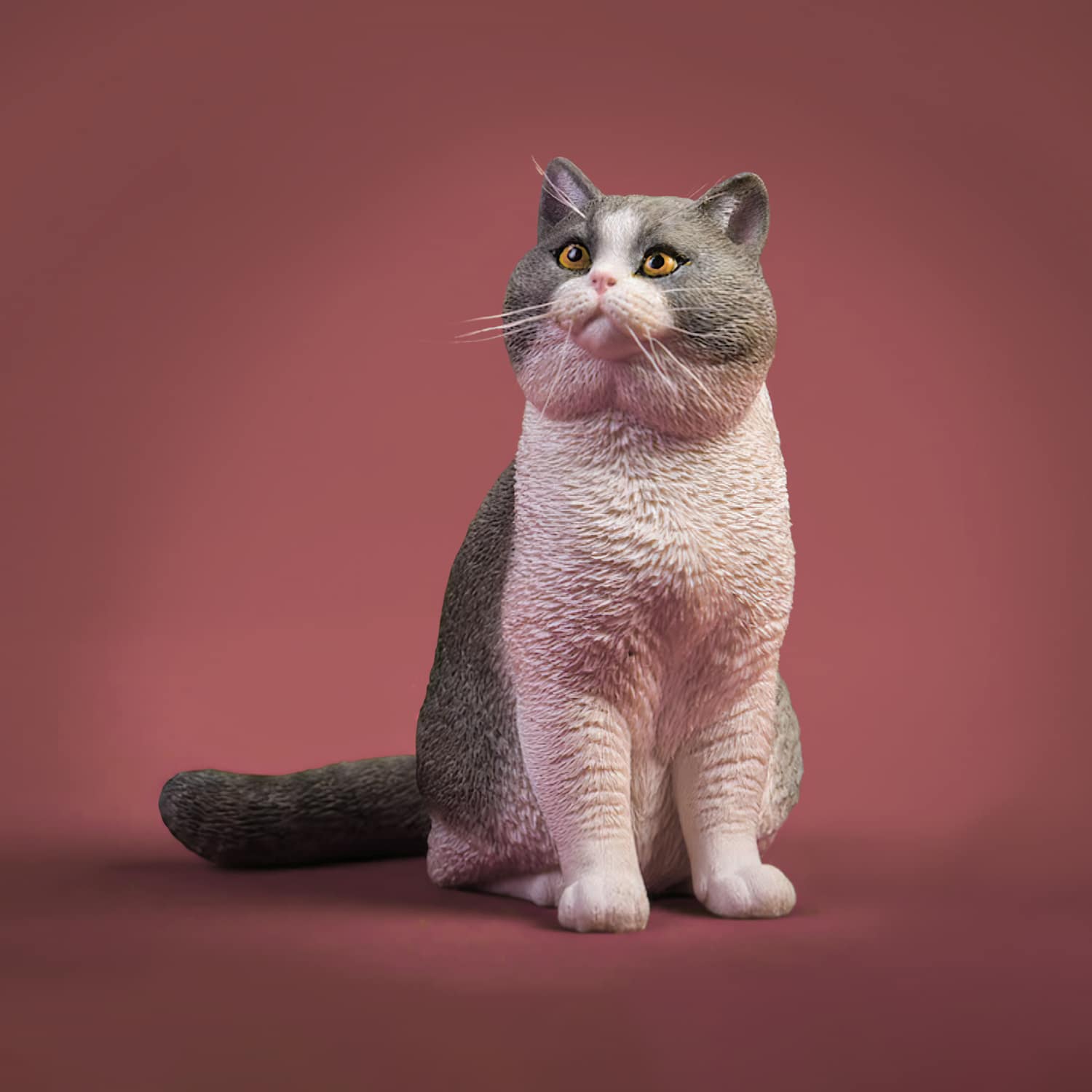 1/6 Lifelike British Shorthair Cat Resin Statue - FacFox Shop