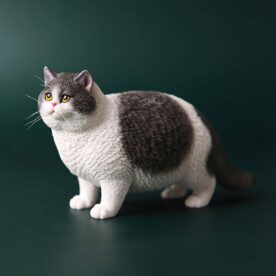 JXK064 British shorthair fat cat statue, gift of cat loves
