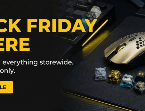 Black Friday Alert: Get 10% Off Everything!